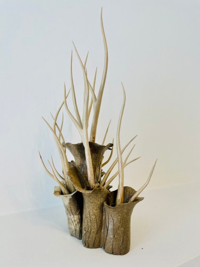 Forêt - Art - Céramique - Ceramic - Sculpture - Arbre - Tree - Forest