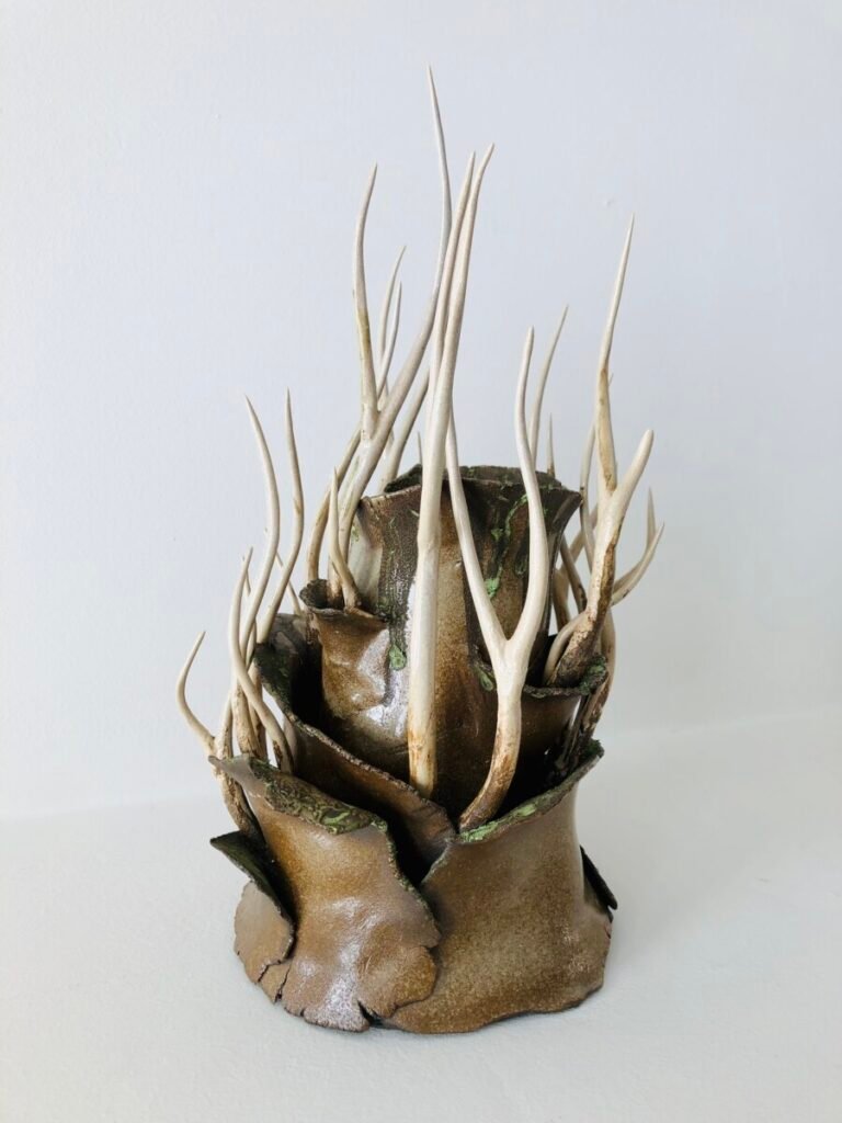 Cernes - Art - Céramique - Ceramic Nature - Arbre - Tree