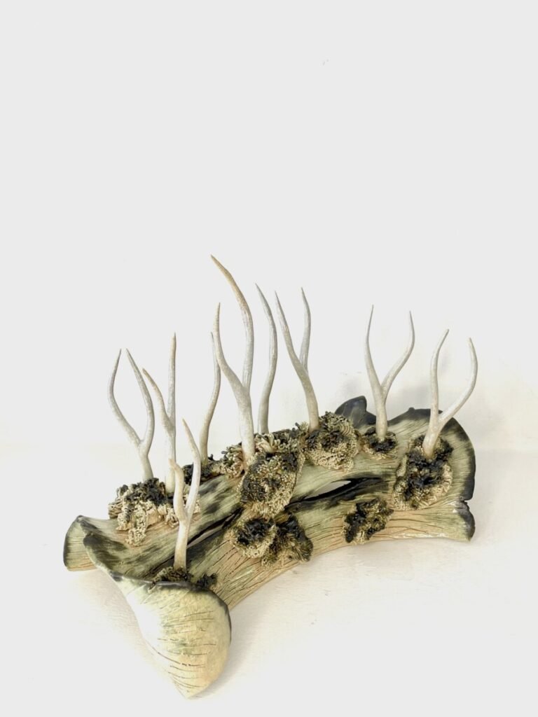 Lychen - Art - Céramique - Ceramic Nature - Arbre - Tree